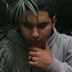 Meet your Posher, Vincent